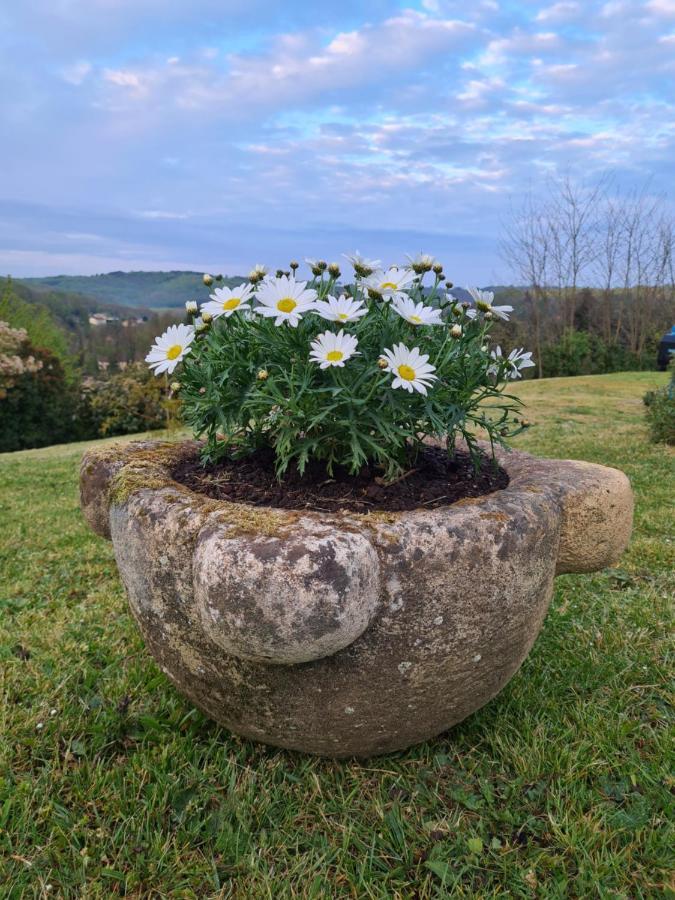 Domaine De La Queyrie Casa vacanze Sarlat