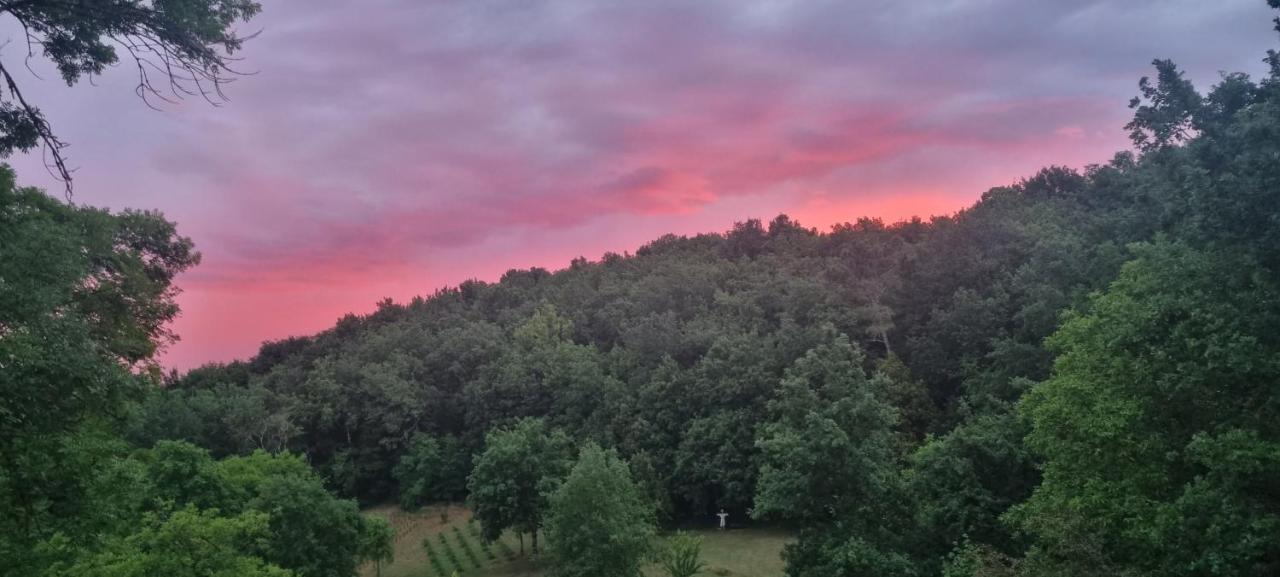 Domaine De La Queyrie * Sarlat