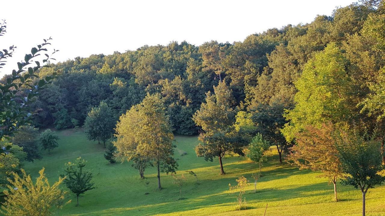Domaine De La Queyrie Sarlat